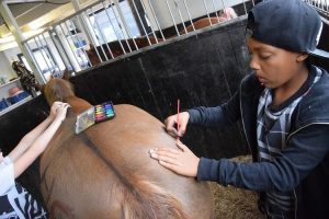 Ouder-kindweekend: maak van een paard een kunstwerk